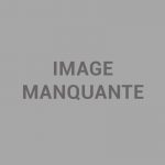 Pomme de terre Cheyenne