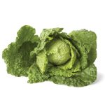 Chou vert frisé