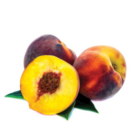 Pêche