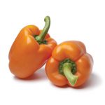 Oranger Blockpaprika