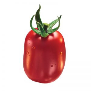 La tomate Roma nous vient tout droit d’Amérique du sud d’où elle est originaire. Elle se distingue
des autres variétés par une forme allongée et ovale poussant en grappe. Sa chair gorgée de soleil est à la fois ferme et douce avec une teneur en eau très faible. Cette variété à l’image des autres peut tout aussi bien se consommer crue que cuite. Elle est idéale pour les préparations en sauce ou encore pour la fabrication de concentrés de tomate en conserve.

La tomate roma est la plus utilisée par les industriels dans leurs différentes transformations principalement grâce à sa faible teneur en eau qui lui confère une consistance parfaite.
Origine / zone de production / et ou le producteur :

 	Amérique

Conditionnement :
&nbsp;
Nous téléphoner 04 68 98 31 50
Nous envoyer un mail