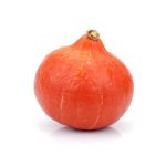 der Hokkaido-Kürbis