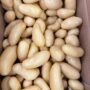 🥔 2025 New Season Potatoes Campaign: Freshness, Terroir & Quality Guaranteed