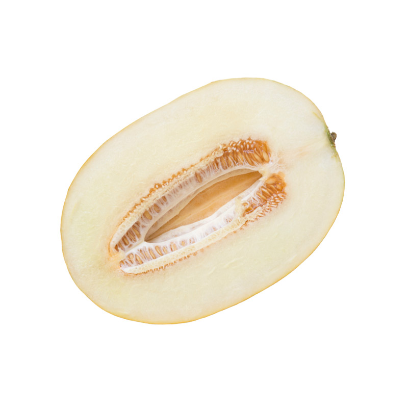 Melon blanc